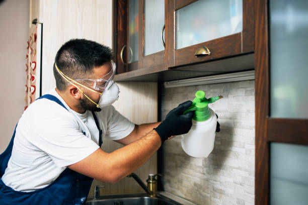 Saratoga Springs, UT Pest Control Company