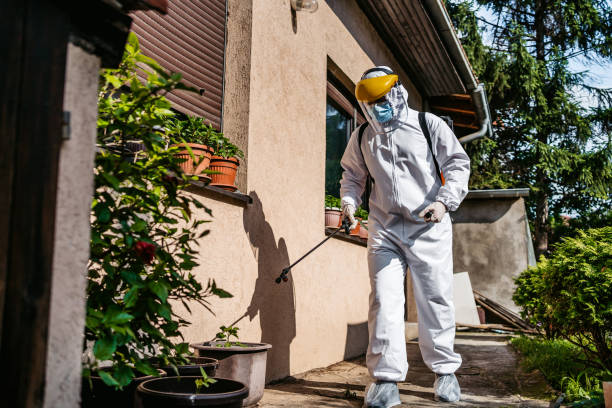 Best Residential Pest Control  in Saratoga Springs, UT