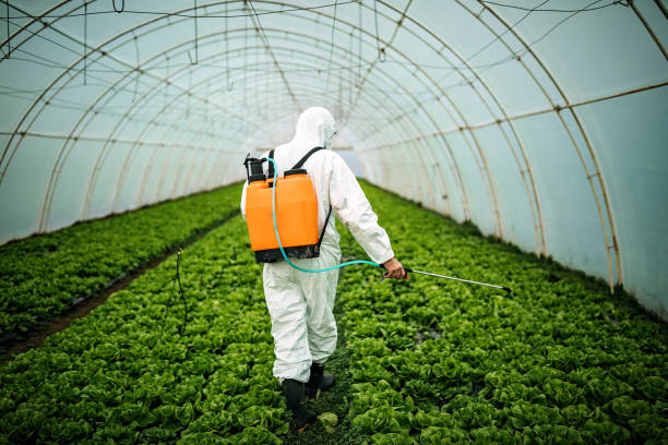 Best Commercial Pest Control Services  in Saratoga Springs, UT