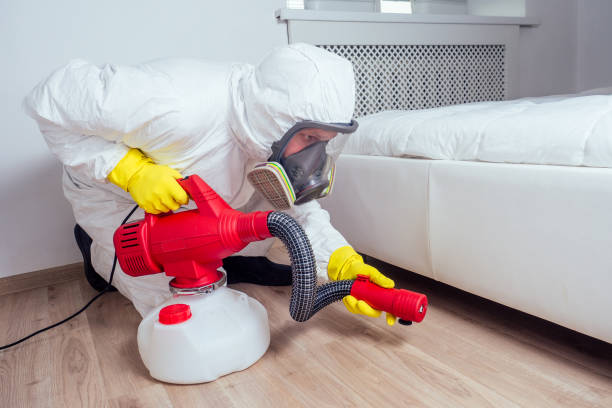 Best Affordable Pest Control Services  in Saratoga Springs, UT