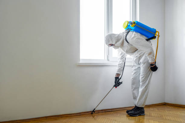 Pest Prevention Services in Saratoga Springs, UT