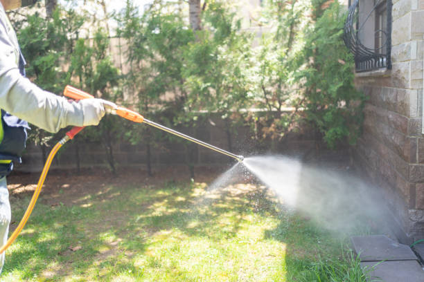 Best Flea Control Services  in Saratoga Springs, UT