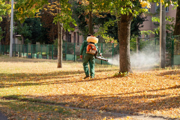 Best Pest Control Treatment  in Saratoga Springs, UT