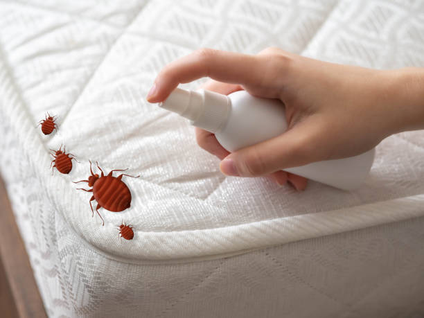 Best Best Pest Control Companies  in Saratoga Springs, UT