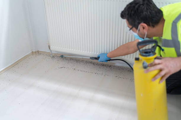 Best Best Pest Control Companies  in Saratoga Springs, UT